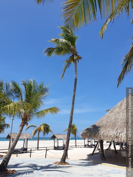 Если отдыхать в Венесуэле, то только на острове Коче!