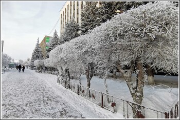 Автобусные рейсы из Тюмени в Казахстан и Киргизию отменены из-за морозов