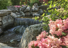 Царство воды и рододендронов в Японском саду