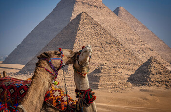 Египет по итогам года намерен принять рекордное число туристов 