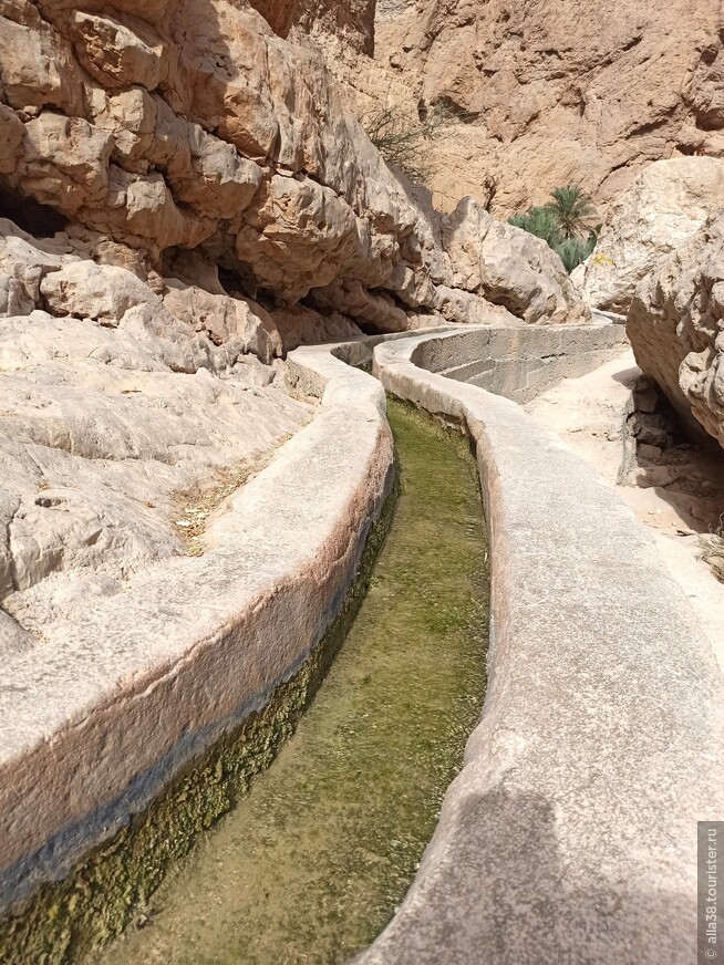 Wadi Shab — живописное ущелье в горах!