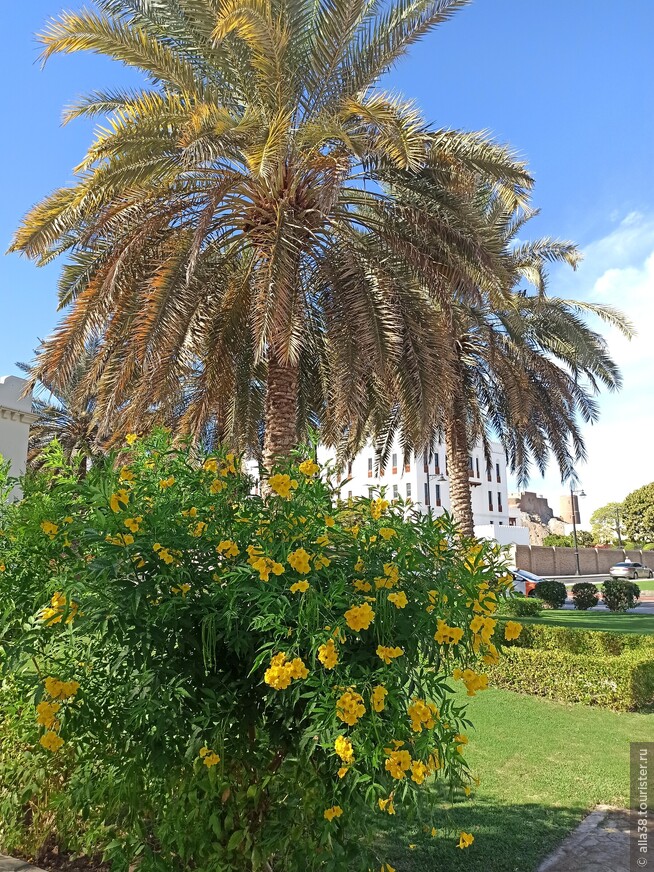 Оманский сенот, Дворец султана Кабуса и парк Риям