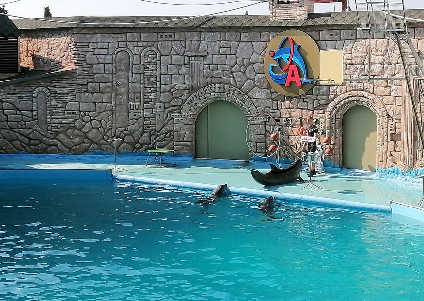 Адлерский дельфинарий