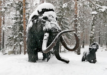Снегопад в Екатеринбурге побил рекорд 1917 года