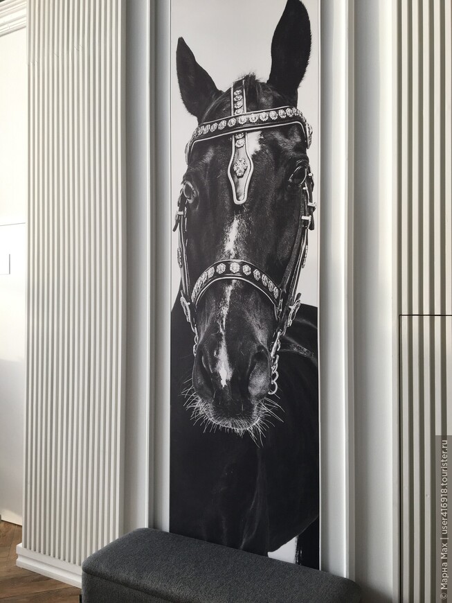 ВДНХ: Центр национальных конных традиций