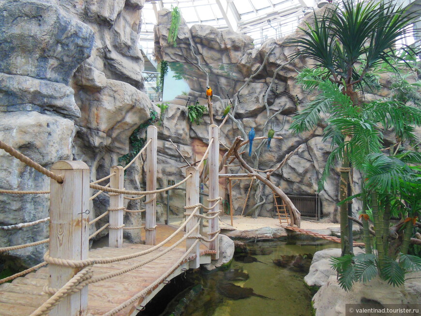 Экзотариум Ориноко с фауной Южной Америки. Этот павильон был открыт 15 марта 2015 г.