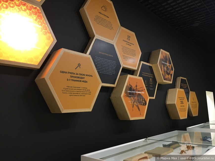 ВДНХ: павильон «Пчеловодство и эколого-просветительский центр»