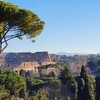 Вид на Колизей с Палатинского холма.