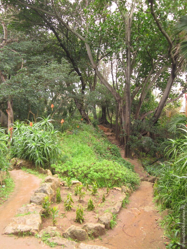 Прогулка по саду к террариуму