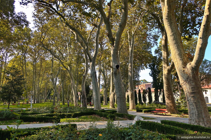 В Стамбуле бархатный сезон: новый парк, старый сад и древняя цистерна 