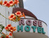 Отель Rose