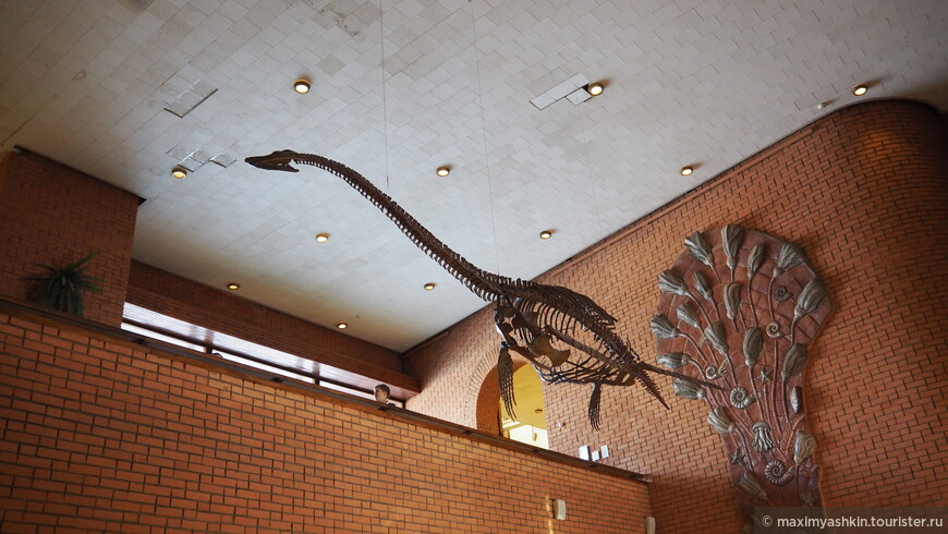 Плезиозавр футабазавр (Futabasaurus suzukii)