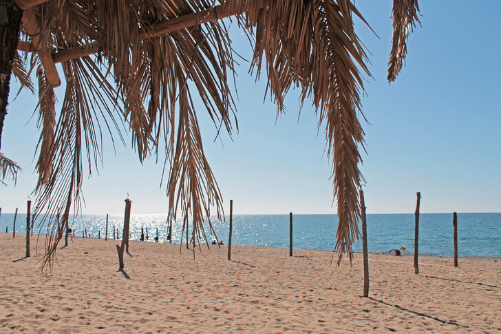 Пляжный отдых в Сухуме продолжает 6 месяцев в году