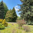 Ботанический сад им. В. Ржавитина в Саранске