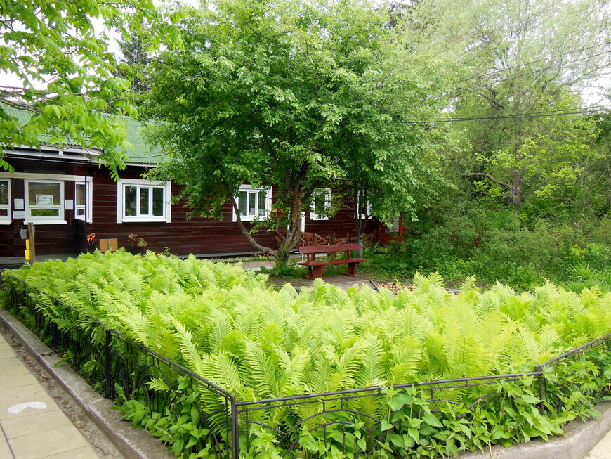 Ботанический сад Иркутска