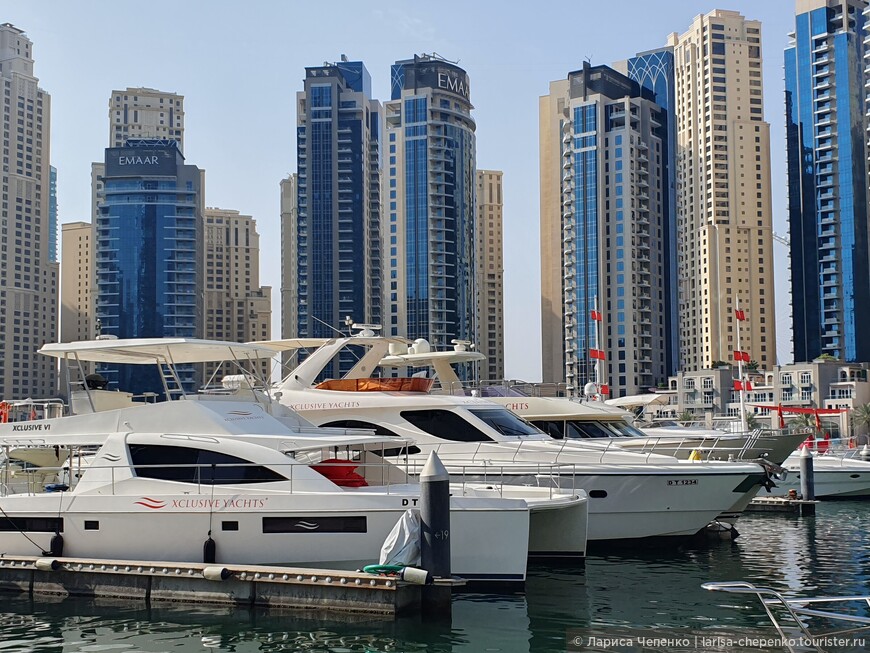 Dubai Marina – лучшее место для проживания туристов в Дубае