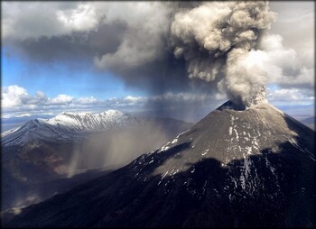 На Камчатке пепловый шлейф вулкана Шивелуч протянулся на 55 км 