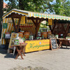 Рынок в Люббенау Шпреевальд, тур из Берлина на день, экскурсии с Майер Андрей