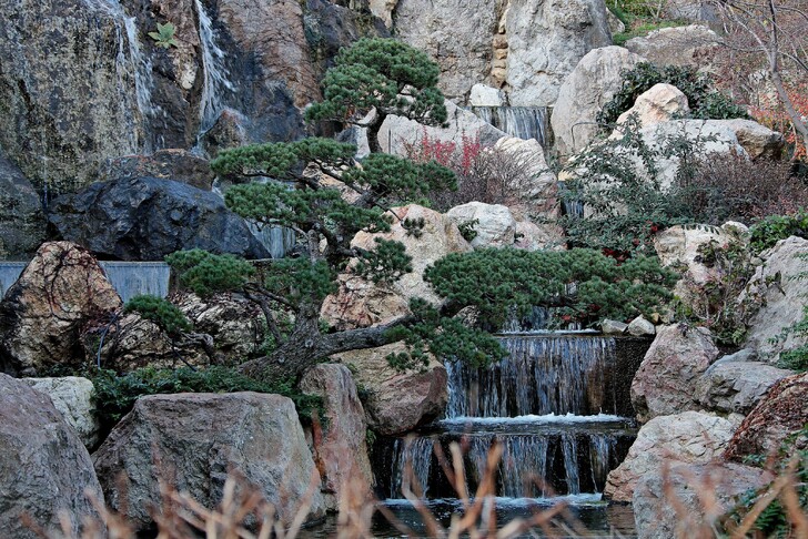 Японский сад в парке Айвазовское