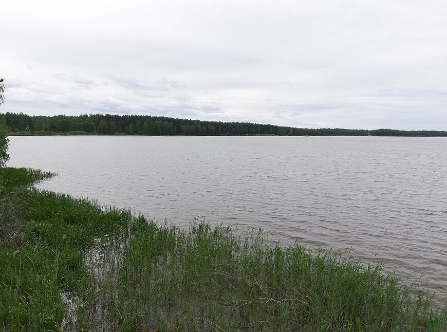 Озеро Белое (Северное) в Рязанской области 