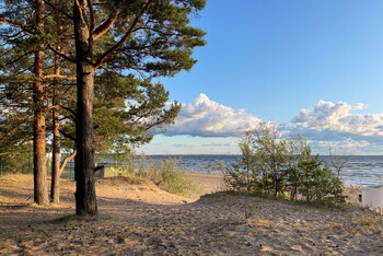 Пляжи на берегу Финского залива в Петербурге благоустроят в 2024 году