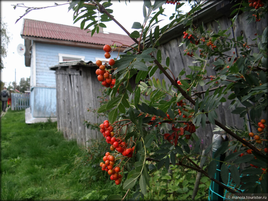 По жизни с Варзугой