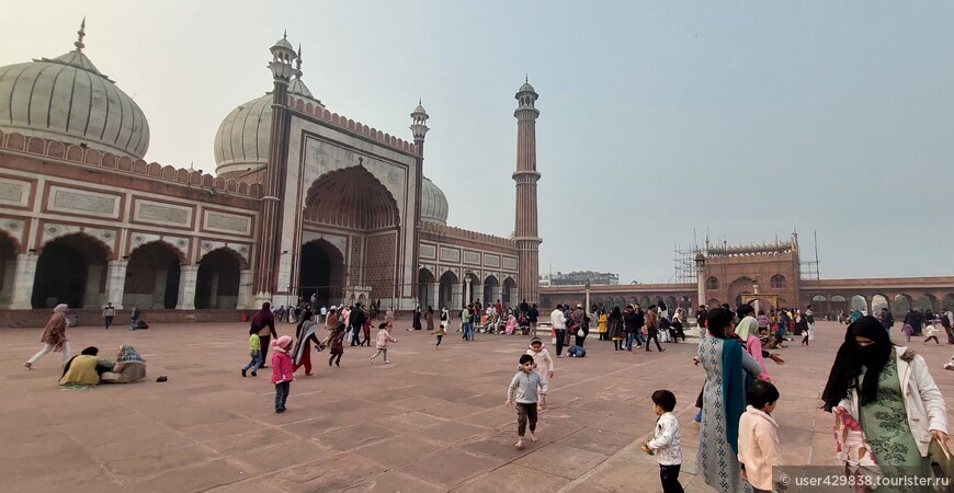 Отчет о поездке в Индию