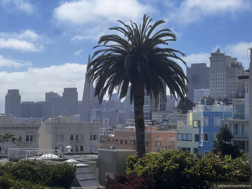 Сан-Франциско — город вечной весны
