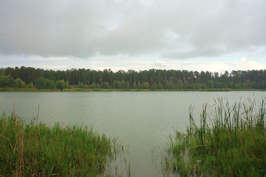 Озеро Большое Васильевское