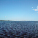 Озеро Дубовое в Шатурском районе