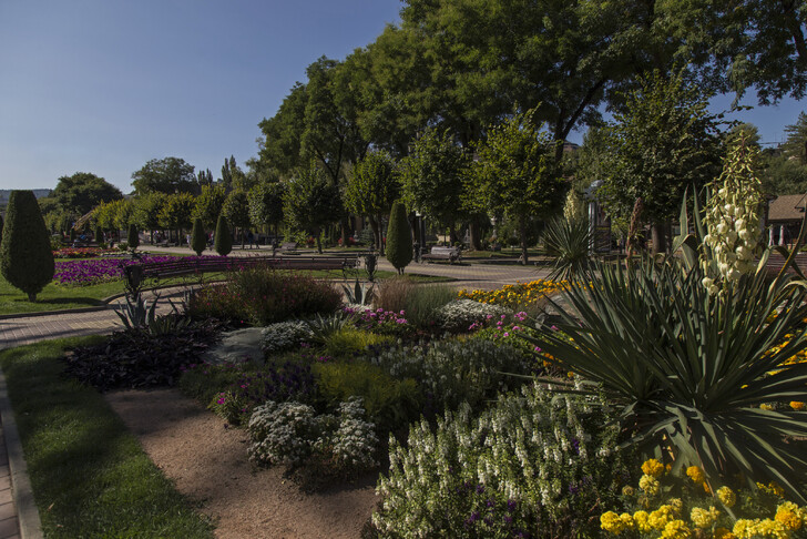 В Курортном парке Кисловодска растут редкие растения и цветы