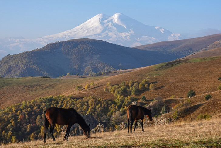 Конные прогулки с видом на Эльбрус 