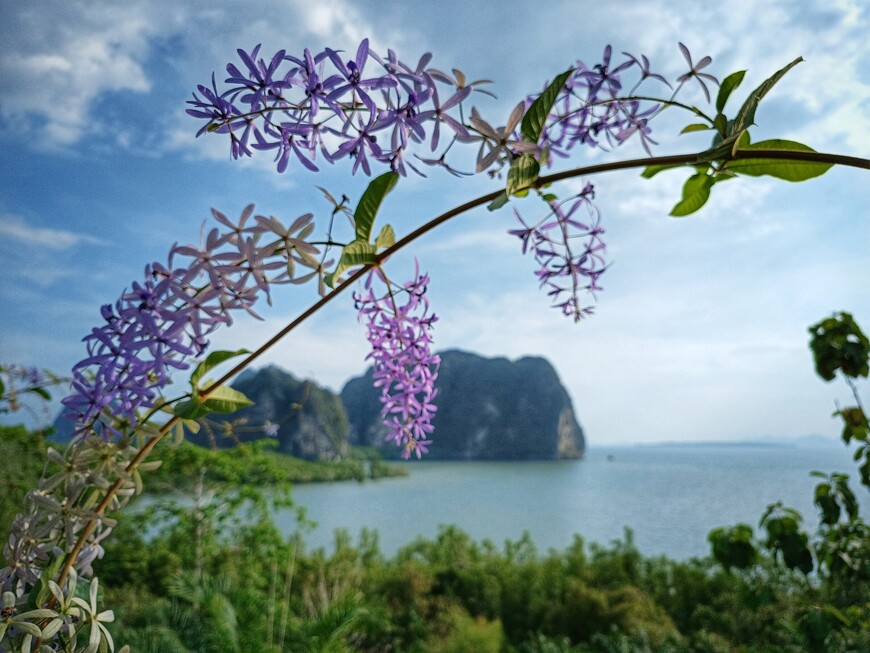 Весновка в Таиланде 2024, часть 3