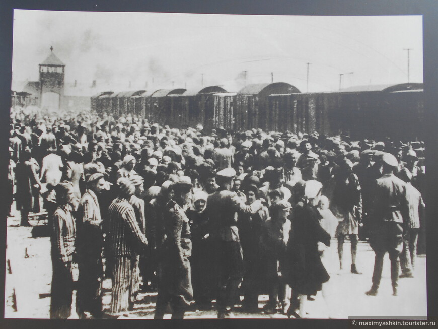Селекция депортированных из Венгрии евреев, 1944 год
