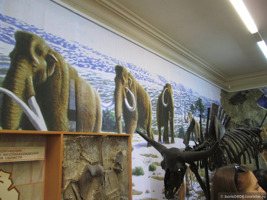 Природа Западной Сибири — первое посещение экспозиции 