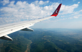 Рейс Turkish Airlines Москва — Стамбул задержался из-за танцевавшего пассажира 