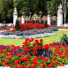 Сады Букингемского дворца