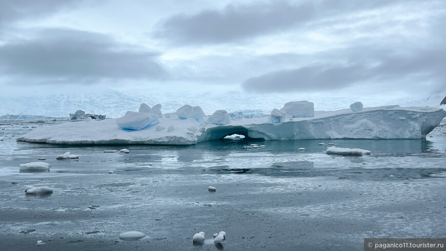 Антарктида. Заключительная
