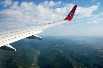 Turkish Airlines первой в мире внедрила авиапаспорт для животных 