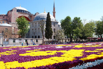 В Стамбуле проходит знаменитый фестиваль тюльпанов