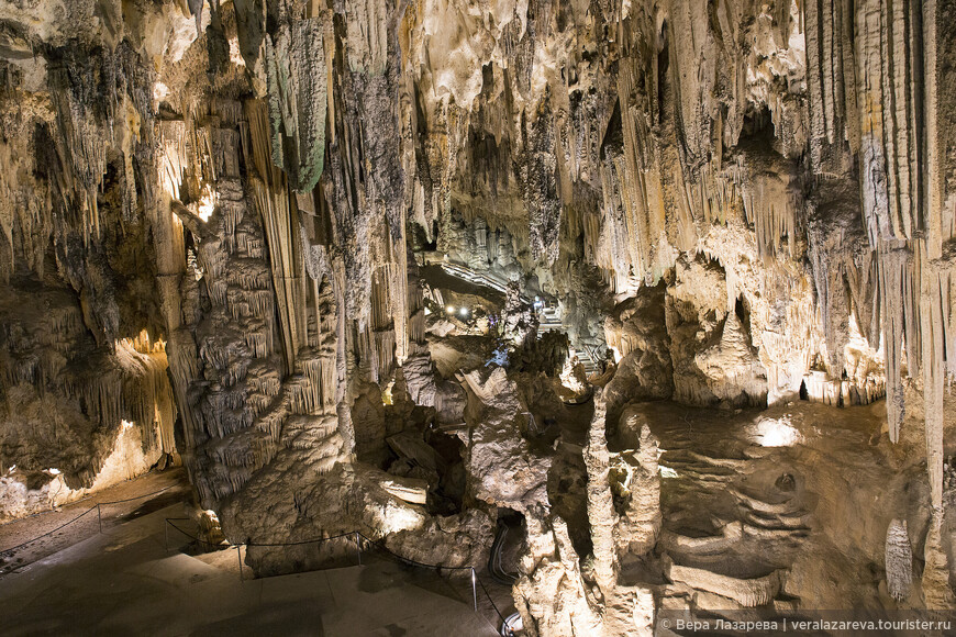 Пещеры Нерха состоят из трех основных галерей общей площадью 35 484 квадратных метров, для сравнения: площадь  футбольного поля стадиона «Камп Ноу» в Барселоне – 7140 квадратных метров, таким образом, пещеры – это пять футбольных полей. Каждая галерея, в свою очередь, состоит из нескольких залов, связанных между собой.