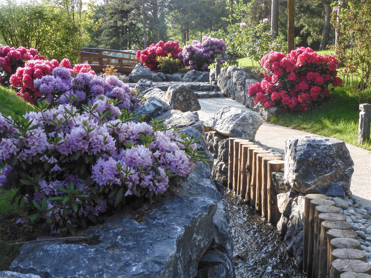 Японский сад - пожалуй, самое популярное место в Краснодаре 