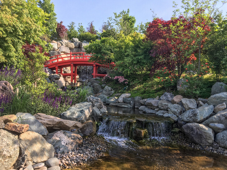 В Японском саду сотни фотогеничных локаций