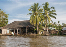 Живут вьетнамцы, которые обрабатывают близлежащие поля, в таких вот непритязательных жилищах под пальмами и у воды. Кто-то живет прямо на лодках...