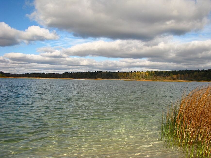 Озеро Донцо в Ленинградской области