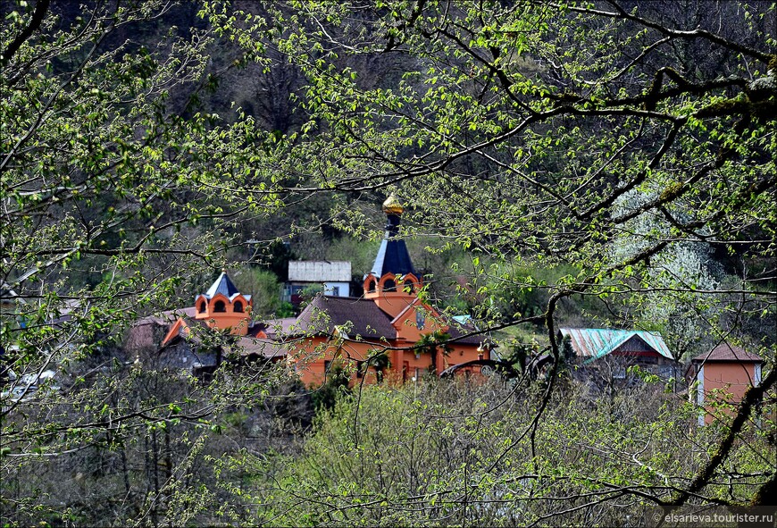 В горах Кавказа: монастырь Крестовая пустынь, Иудин чай и не только