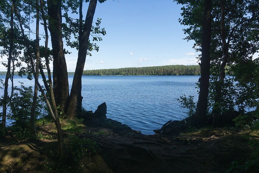 Озеро Высокинское в Ленинградской области