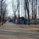Парк Толстого в Брянске