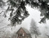 Cosy Wooden Cabin and Bell Tent in Leafy Budapest