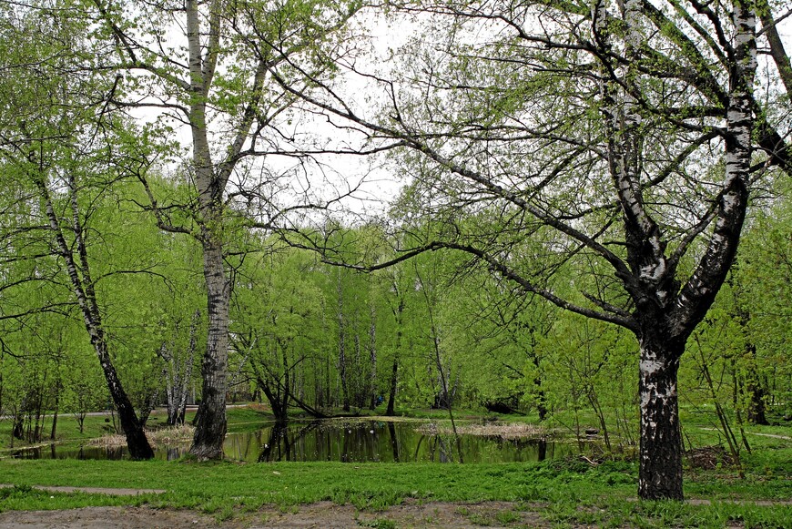 Наташинский парк (Наташинские пруды)